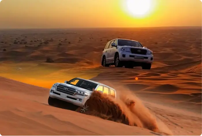 evening desert safari