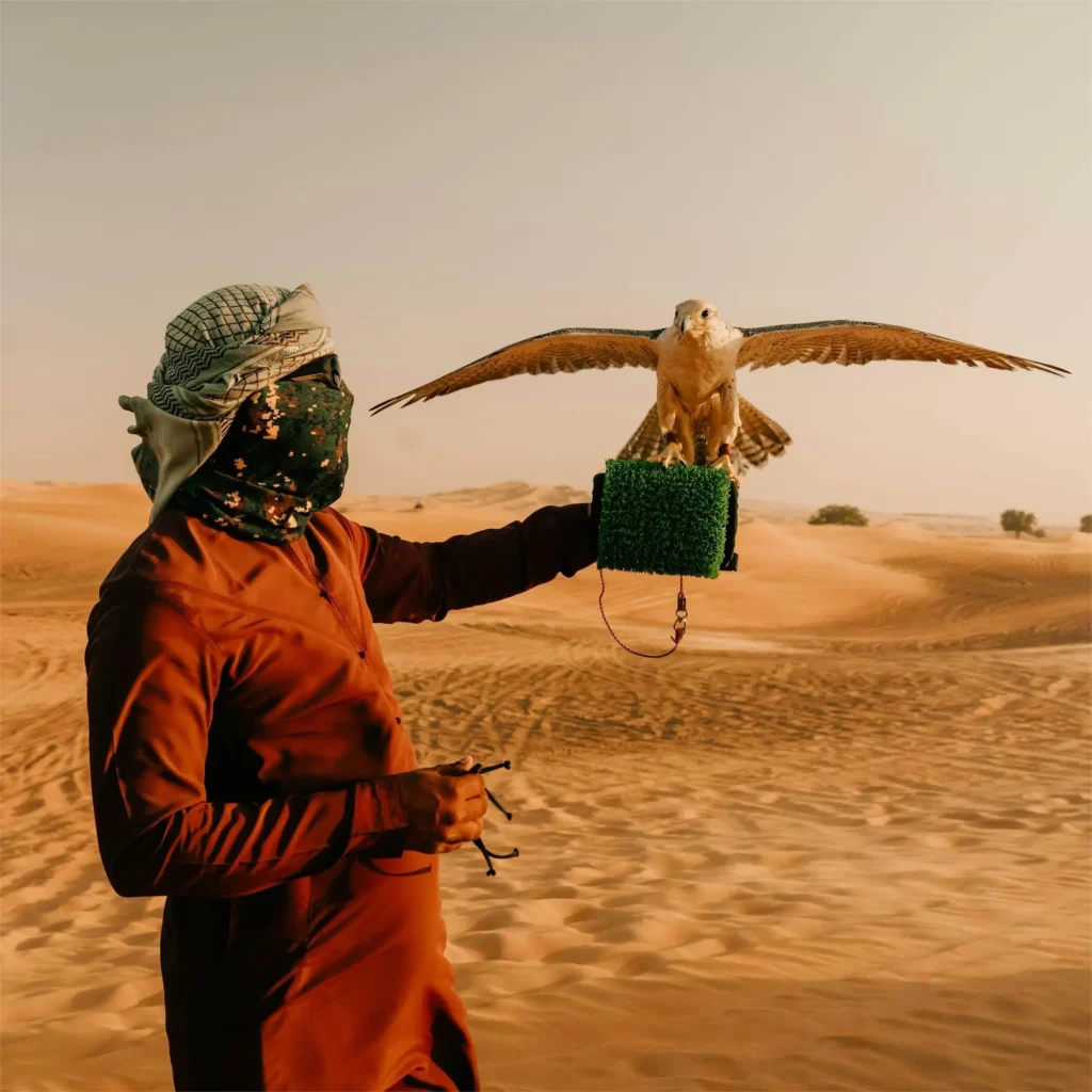 morning desert safari dubai