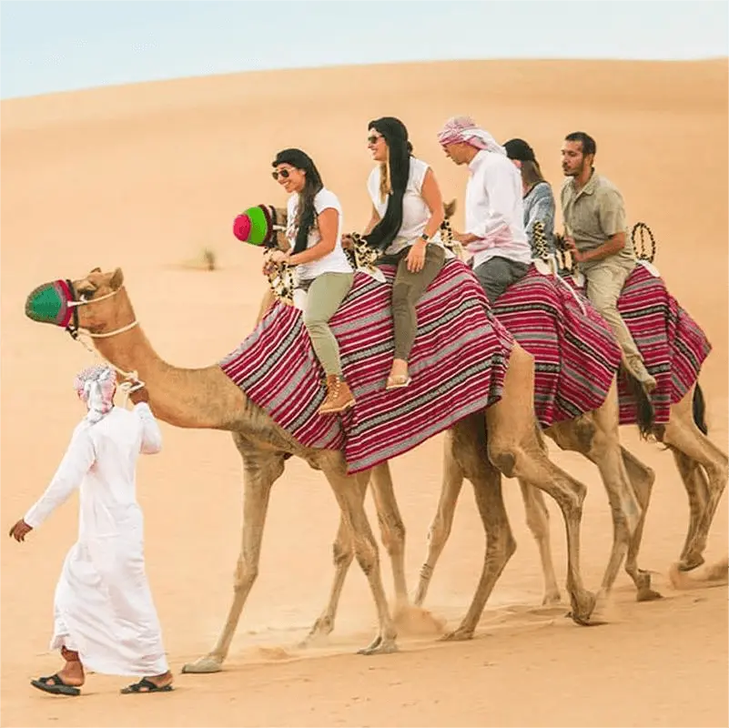morning desert safari dubai